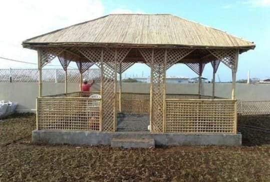 Bamboo huts